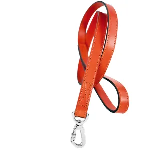 After Eight Dog Leash in Tangerine