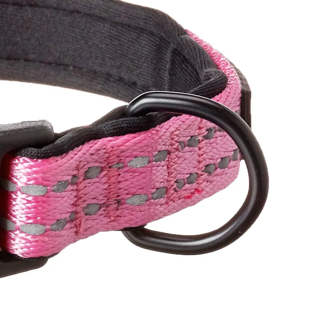 Alcott Adventure Pink Dog Collar