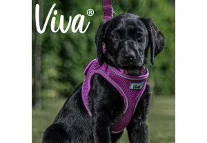 Ancol - Viva Step-in Harness - Purple - Small/Medium