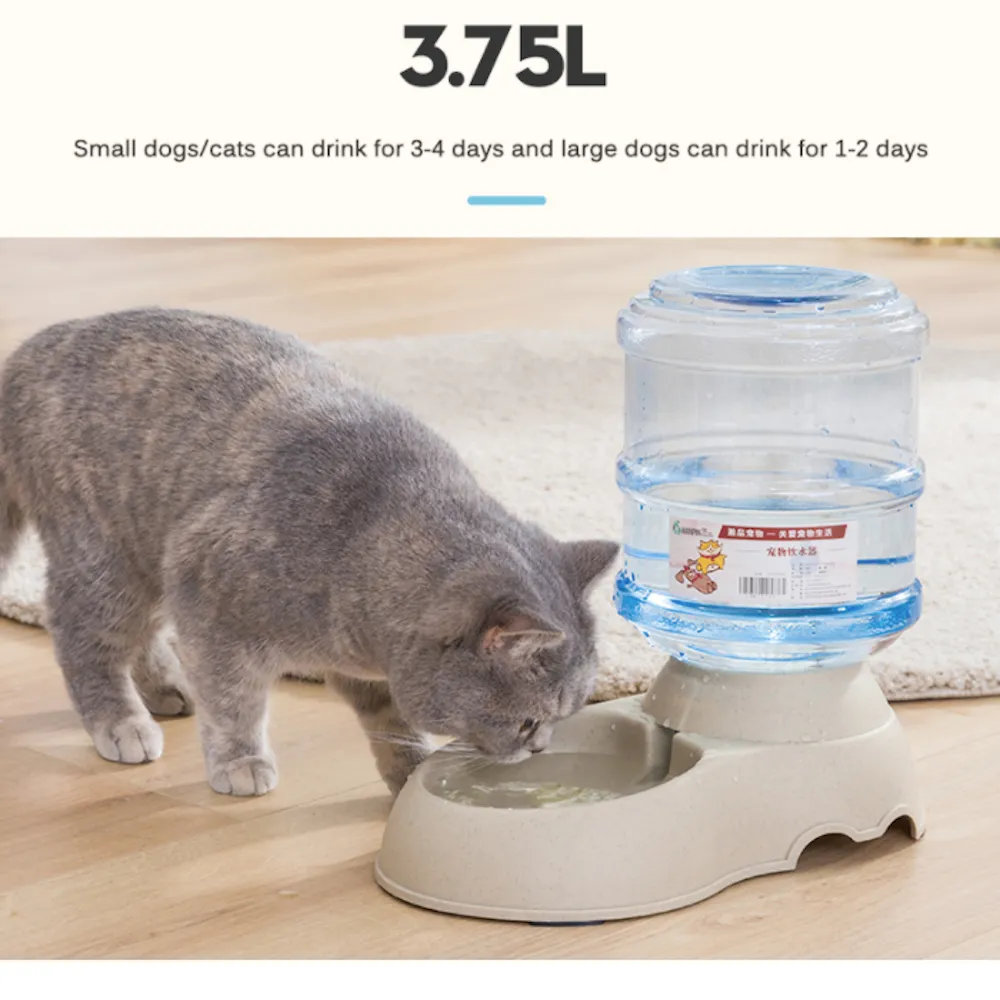 Automatic Pet Water Dispenser 3.75L