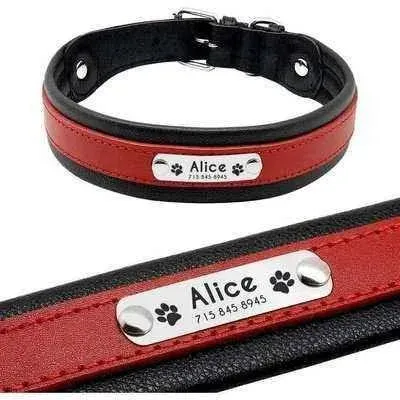 Big Dog's Personalised Leather Collar