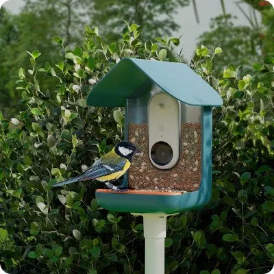 Bird Buddy Outdoor Bird Feeder Kit 9" - Blue