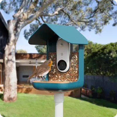 Bird Buddy Outdoor Bird Feeder Kit 9" - Blue