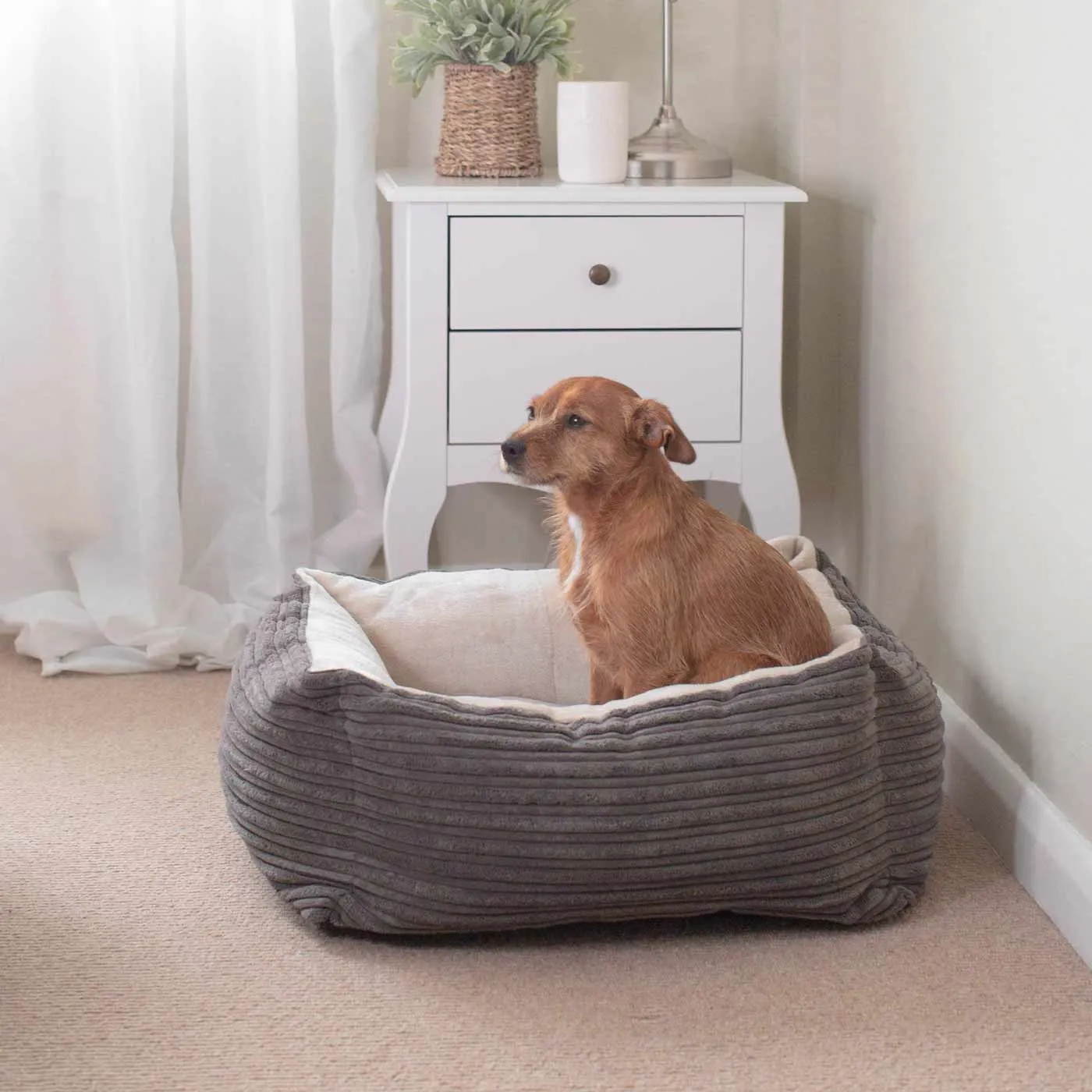 Box Bed in Essentials Plush by Lords & Labradors