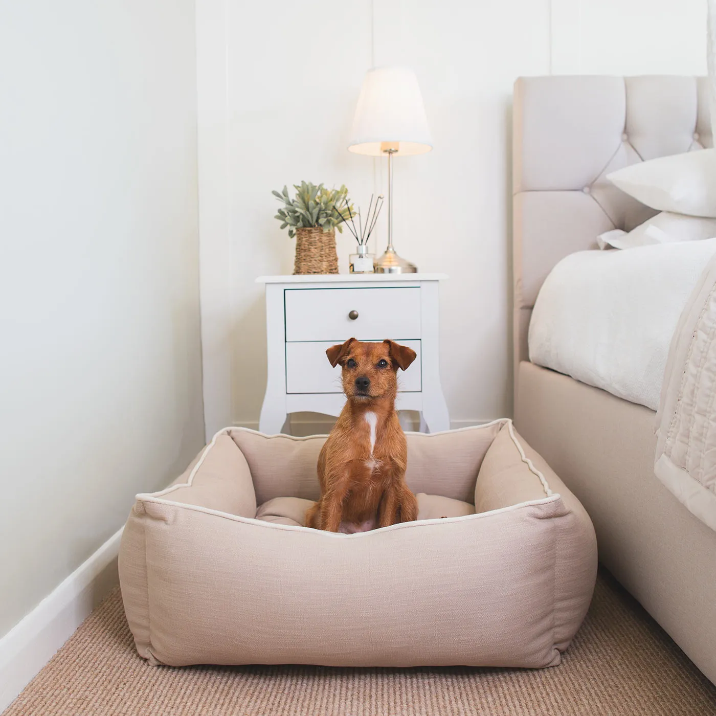 Box Bed in Savanna Oatmeal by Lords & Labradors