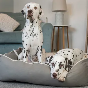 Box Bed in Savanna Stone by Lords & Labradors