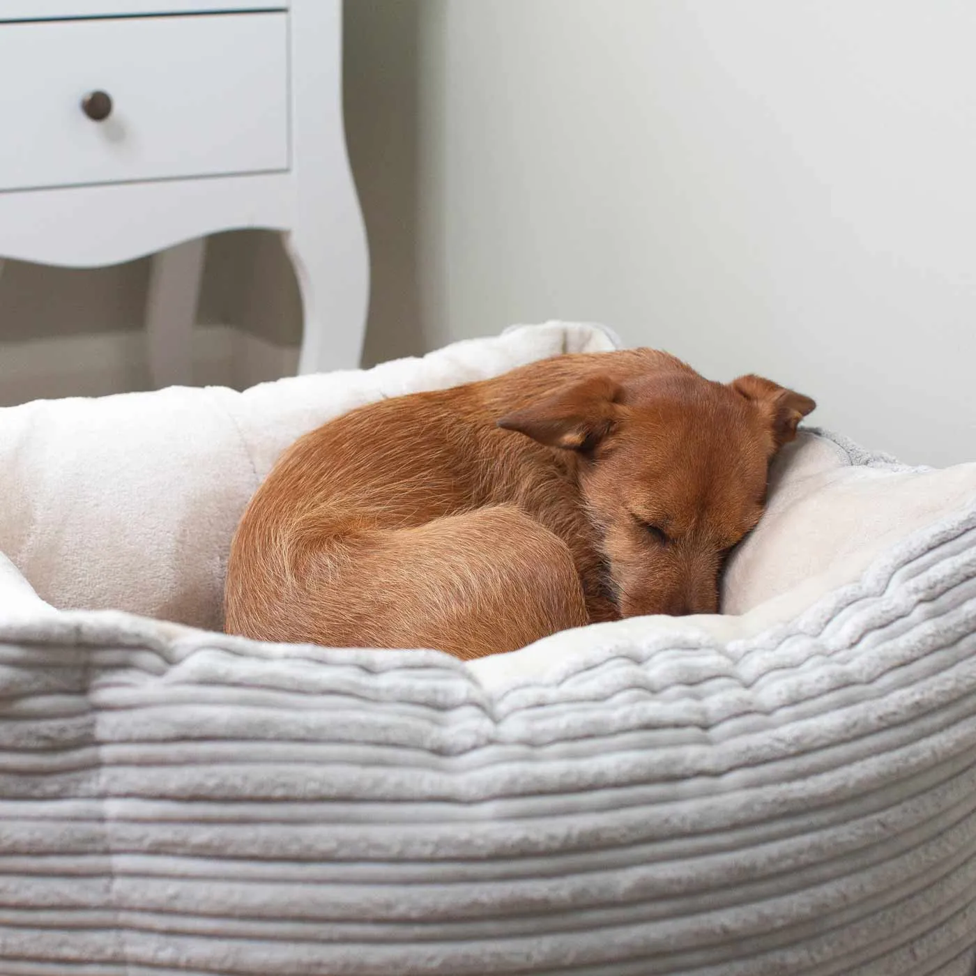 Box Bed With Removable Covers in Essentials Plush by Lords & Labradors