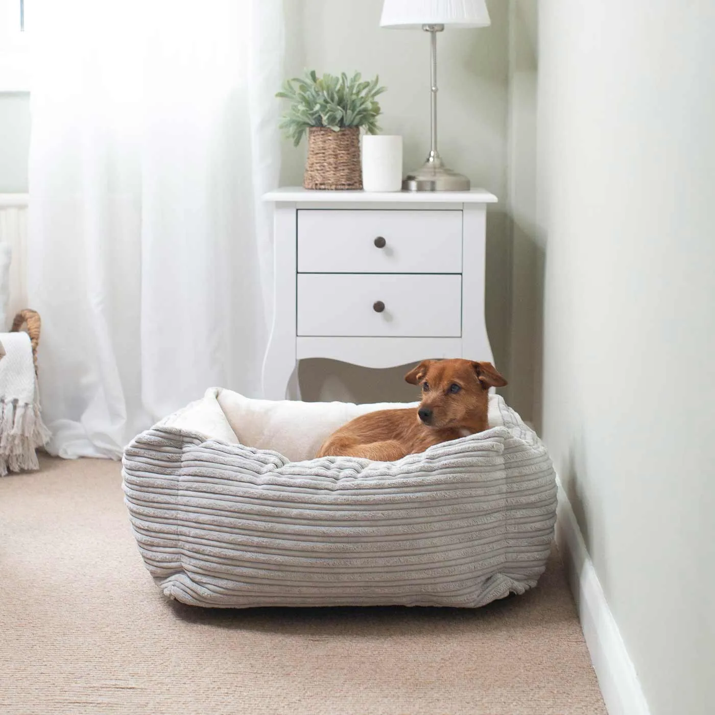 Box Bed With Removable Covers in Essentials Plush by Lords & Labradors