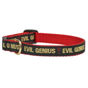 Cat Collar | Evil Genius