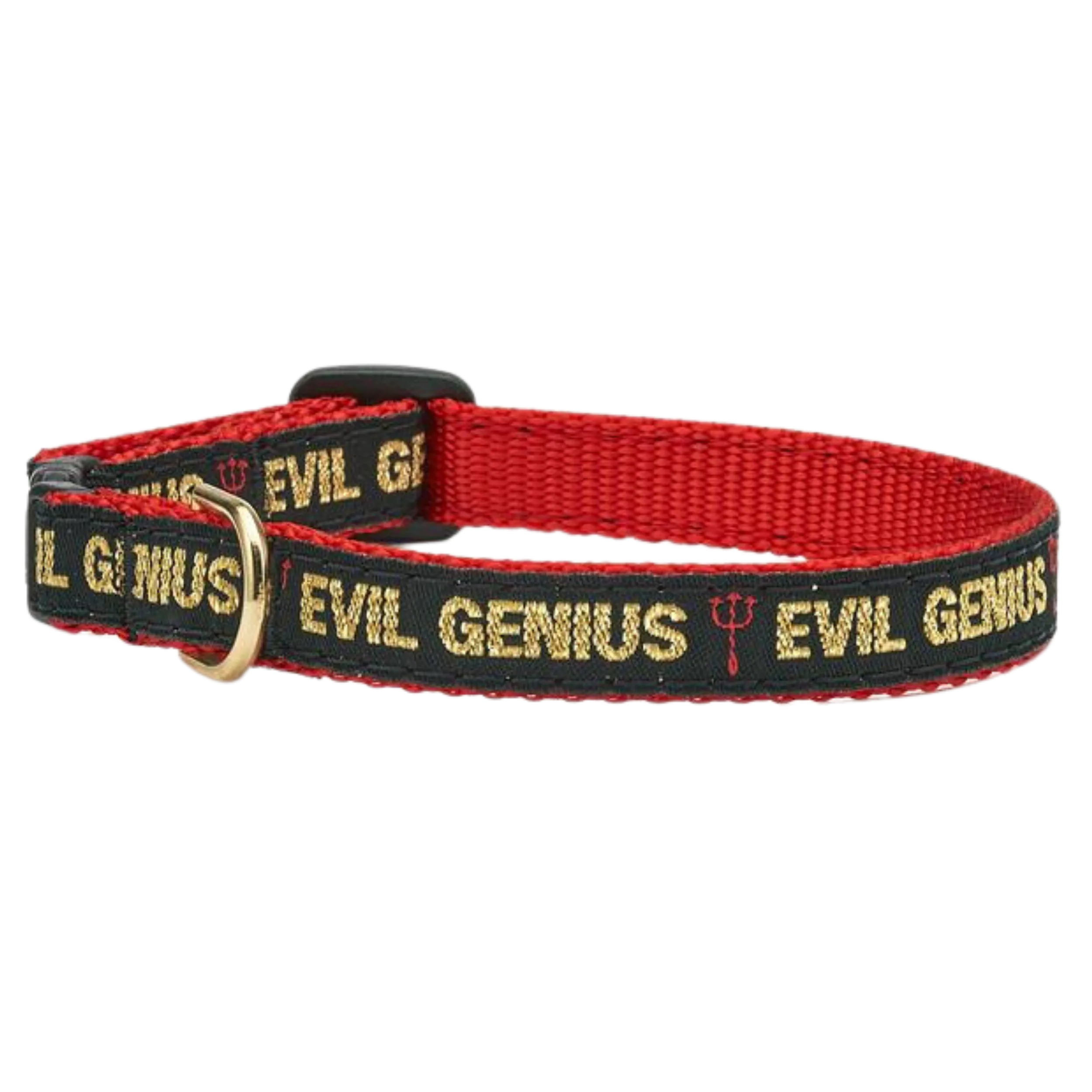 Cat Collar | Evil Genius