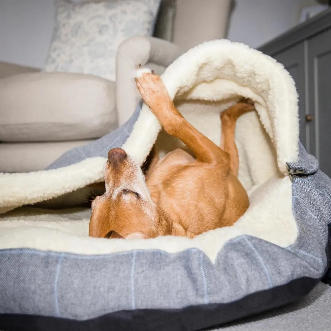 Country and Twee Grey Check Cave Dog Bed