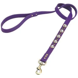 Diamond Faceted Rhinestones And Amethyst Dog Leash