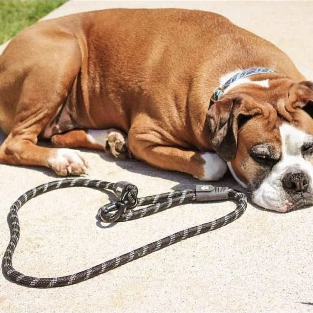 DOCO® 4ft or 5ft Reflective Rope Dog Leash w/ Click & Lock Snap (1/2" Width)