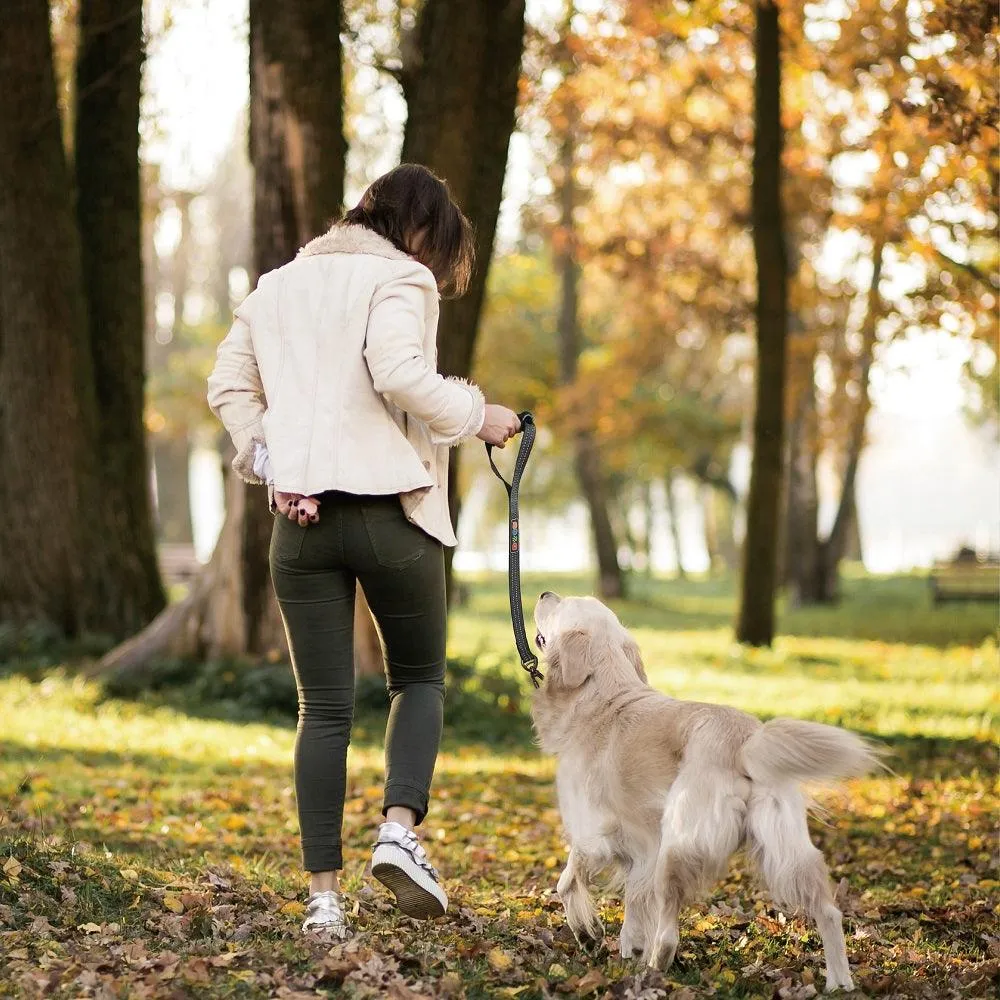 DOCO® VARIO ERGOCURVE Nylon Dog Leash - 20"