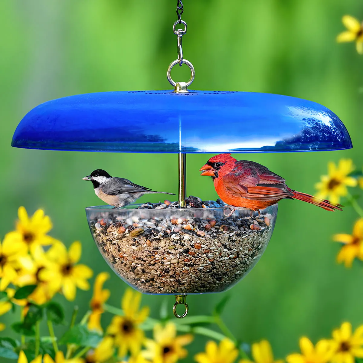 Duncraft Cardinal Feeder with Blue Baffle--Made in the USA