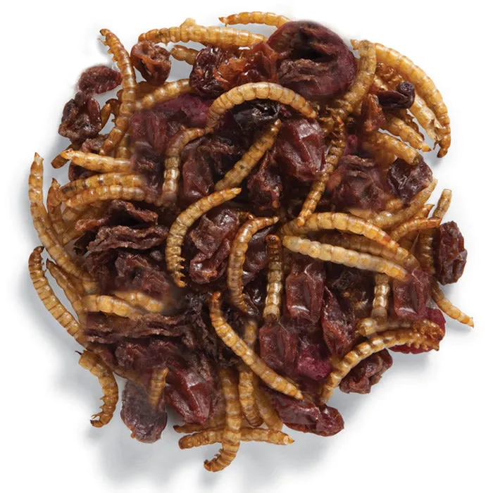 Duncraft Roasted Mealworm & Cranberry Wild Bird Food