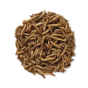 Duncraft Roasted Mealworms, 11200