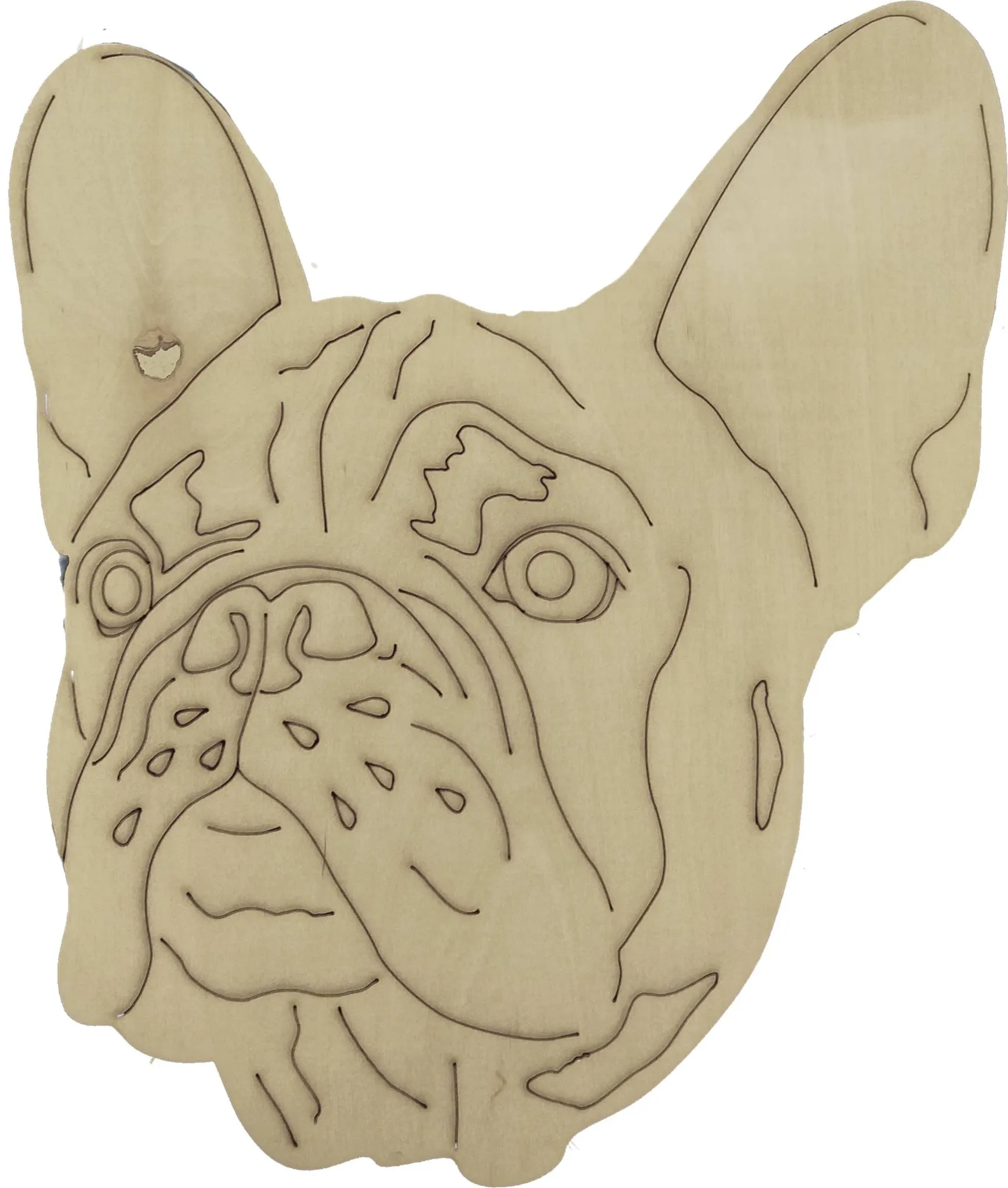 French Bulldog-DIY Pop Art Paint Kit