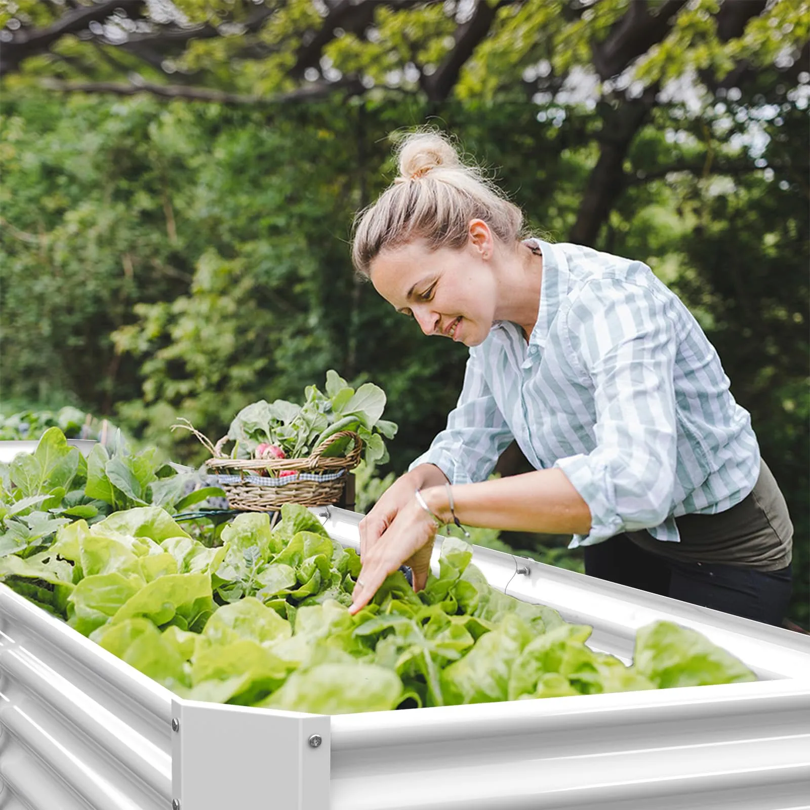 FRIZIONE 12FT x 2FT x 2FT Raised Garden Bed, White, Outdoor.