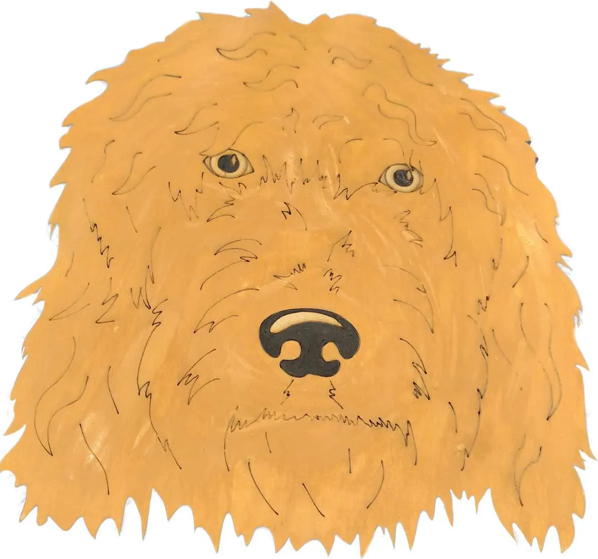 Golden Doodle-DIY Pop Art Paint Ki