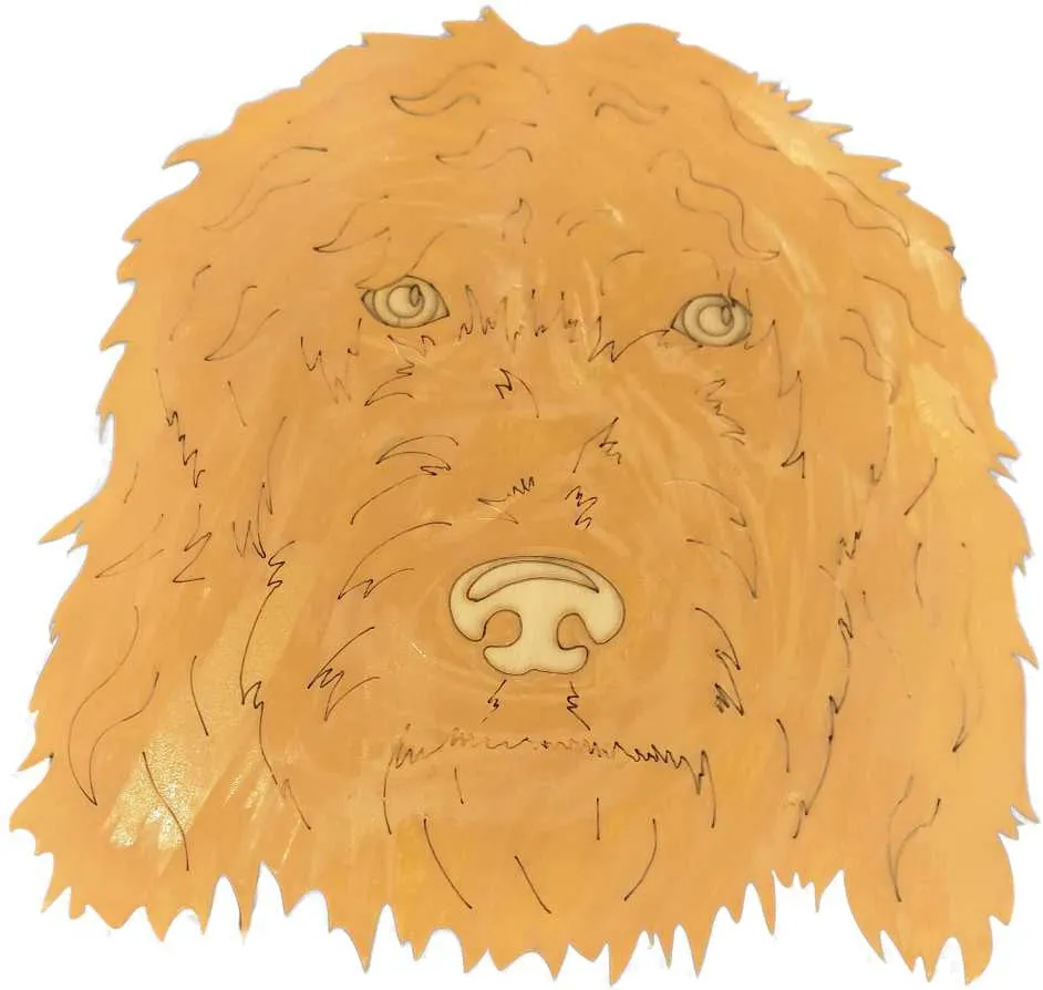 Golden Doodle-DIY Pop Art Paint Ki