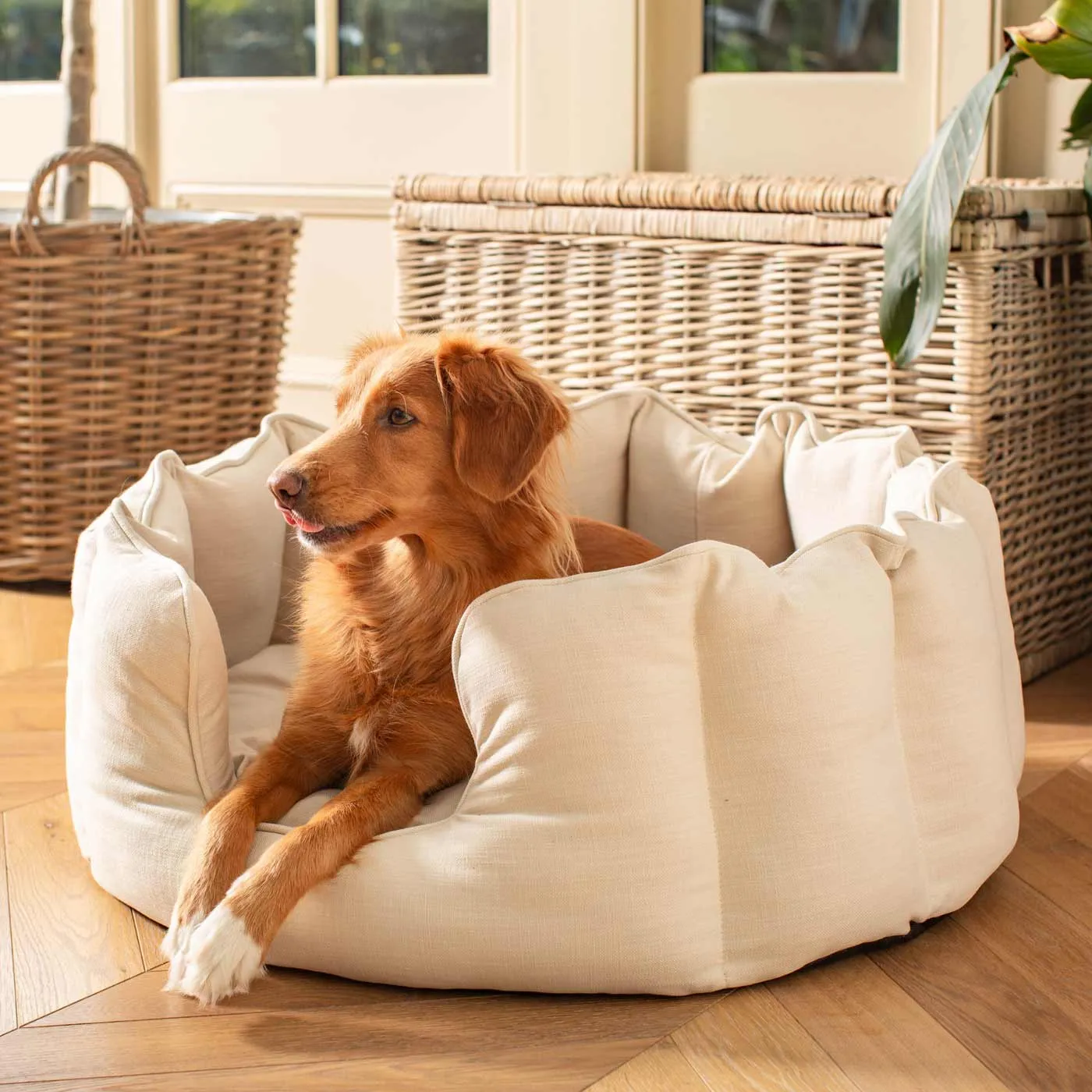 High Wall Bed With Removable Covers in Savanna Bone by Lords & Labradors