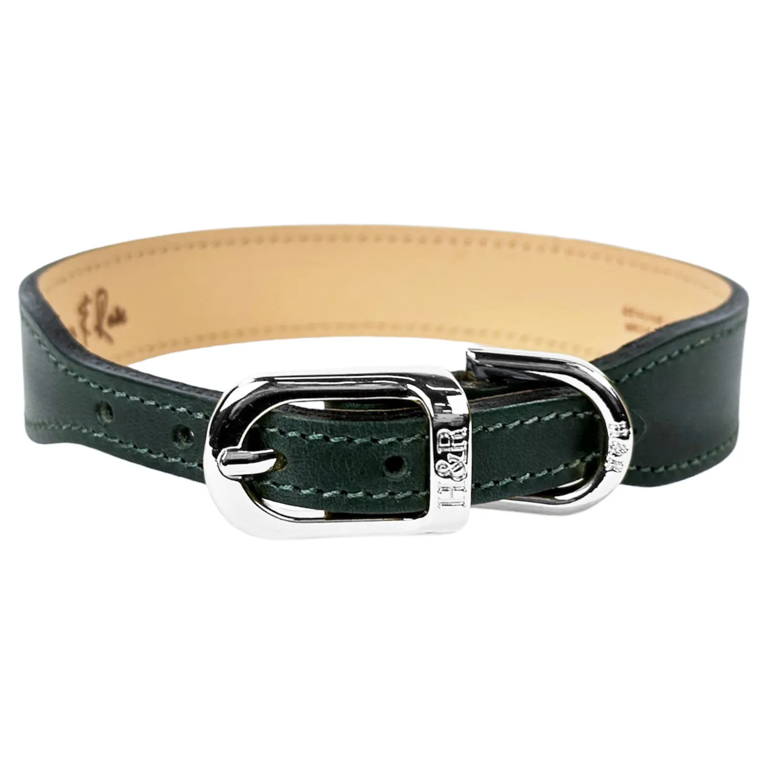 Italian Ivy Green Leather Dog Collar in Nickel