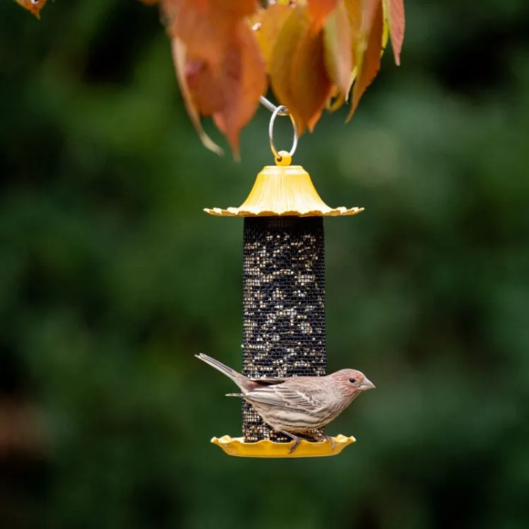 Little-Bit Finch Screen Feeder