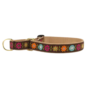 Martingale Collar | Bella Floral