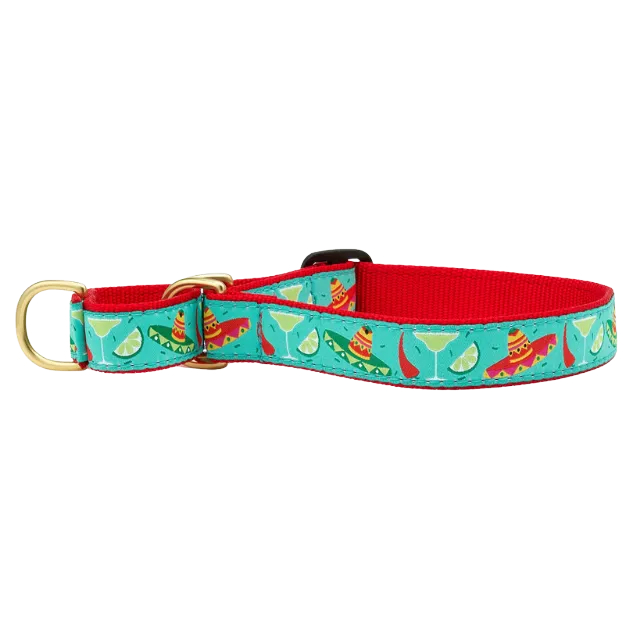 Martingale Collar | Cinco De Mayo