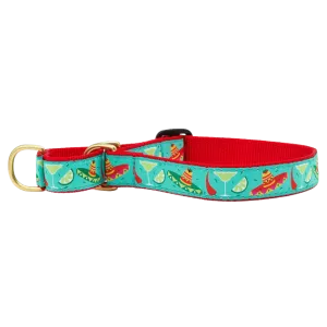 Martingale Collar | Cinco De Mayo