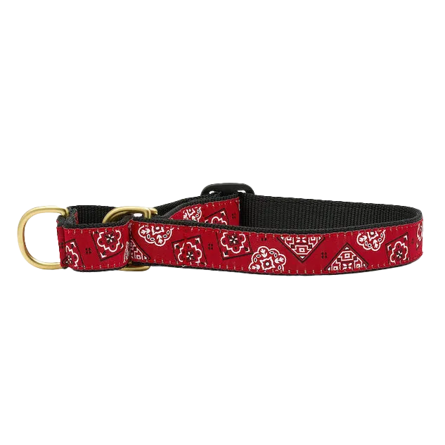 Martingale Collar | Red Bandana