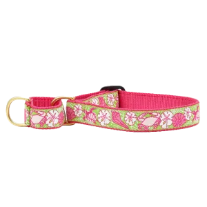 Martingale Collar | Sealife