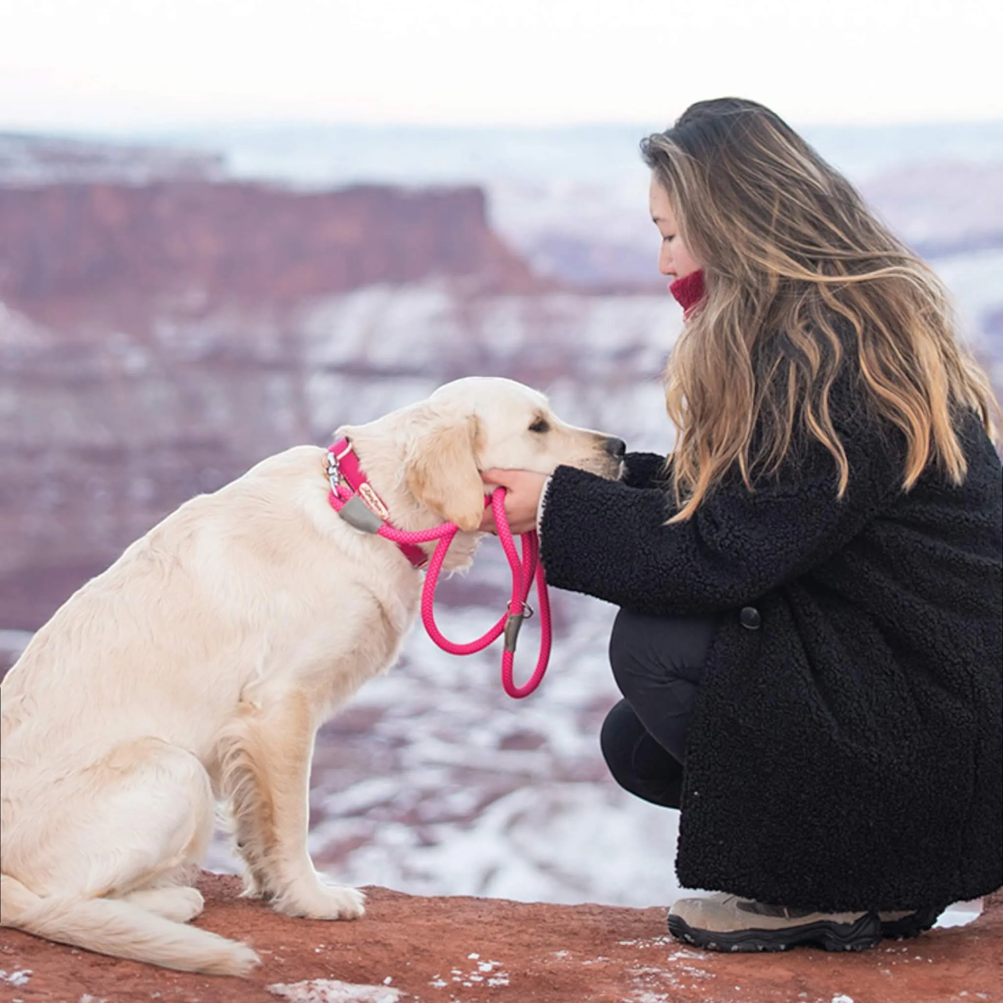 Mod Essential Rope Dog Leash