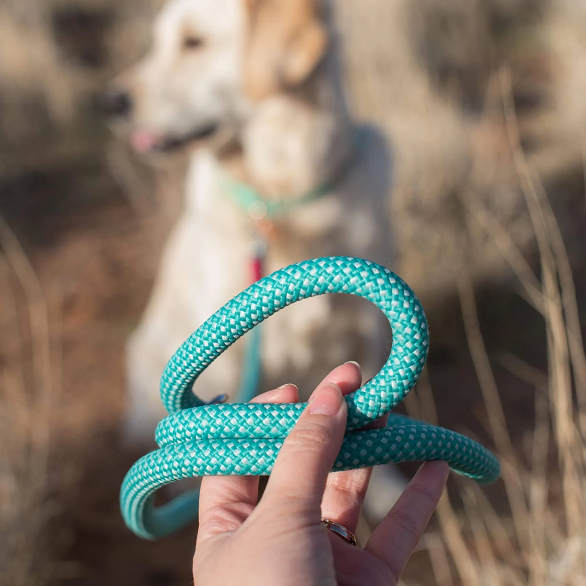 Mod Essential Rope Dog Leash