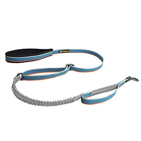 Olly Dog Urban Journey Adjustable Spring Leash