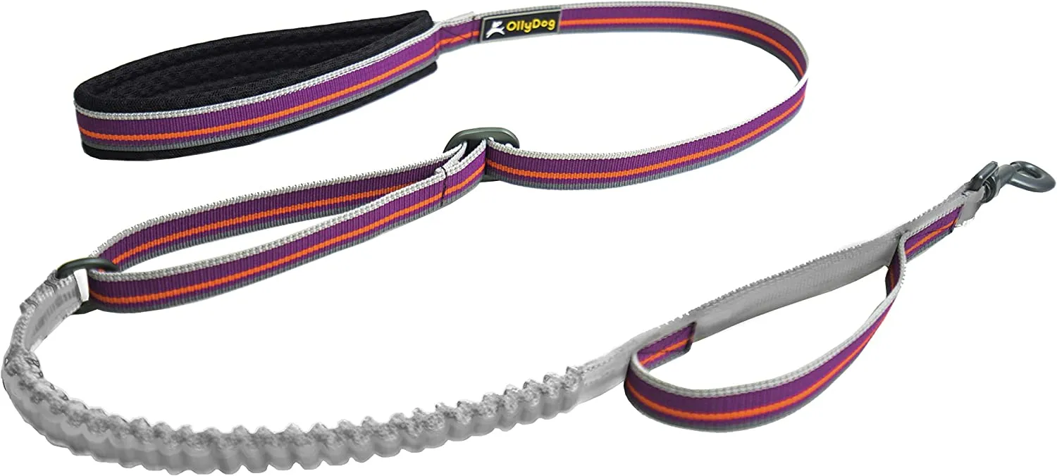 Olly Dog Urban Journey Adjustable Spring Leash