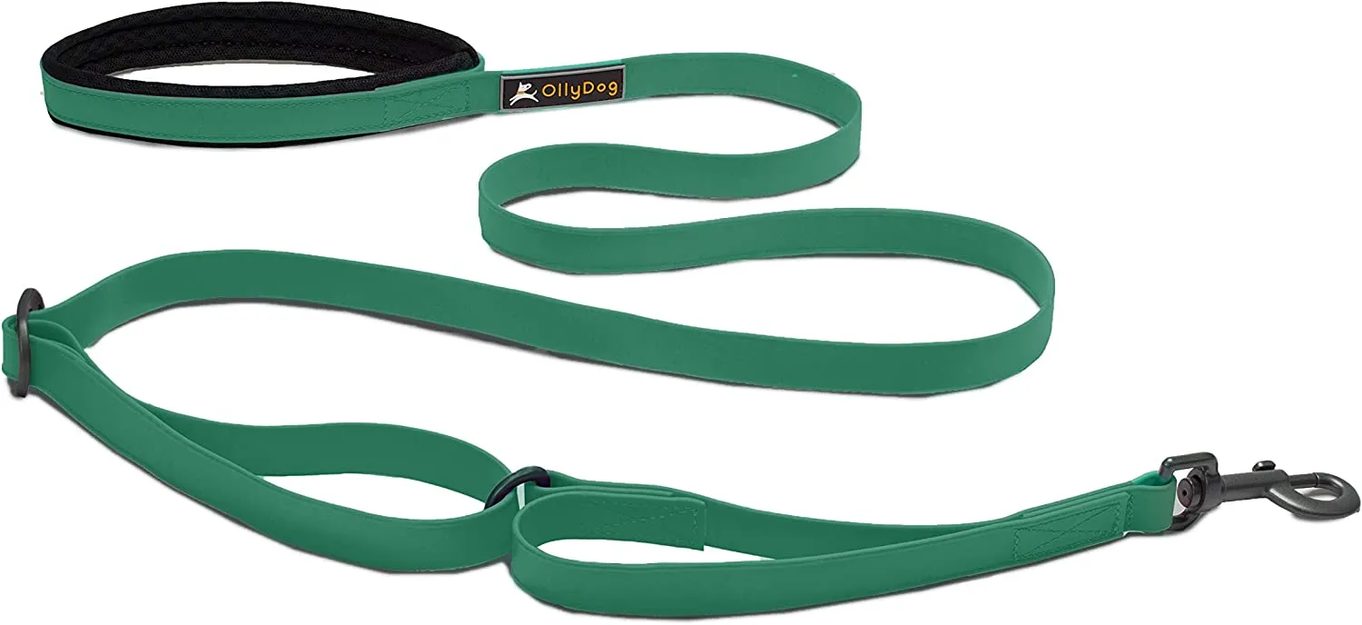 Olly Dog Urban Journey Adjustable Spring Leash