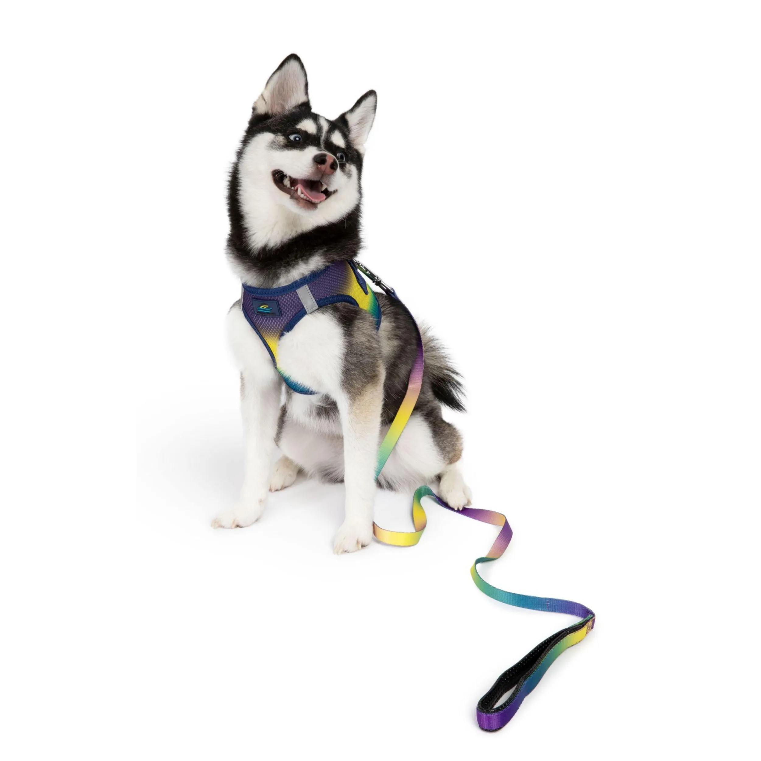 Ombre Leash | Cosmic Splash