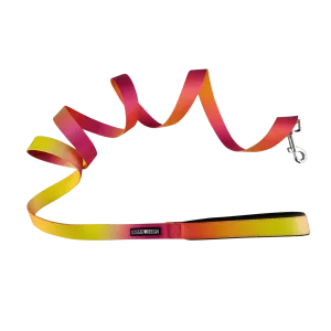 Ombre Leash | Raspberry, Pink, & Orange