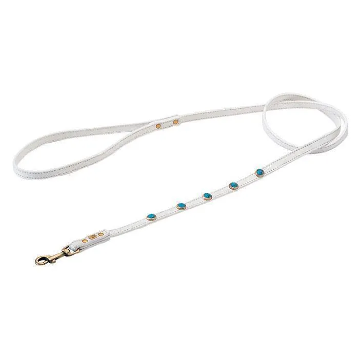 Pebbies Turquoise Dog Leash