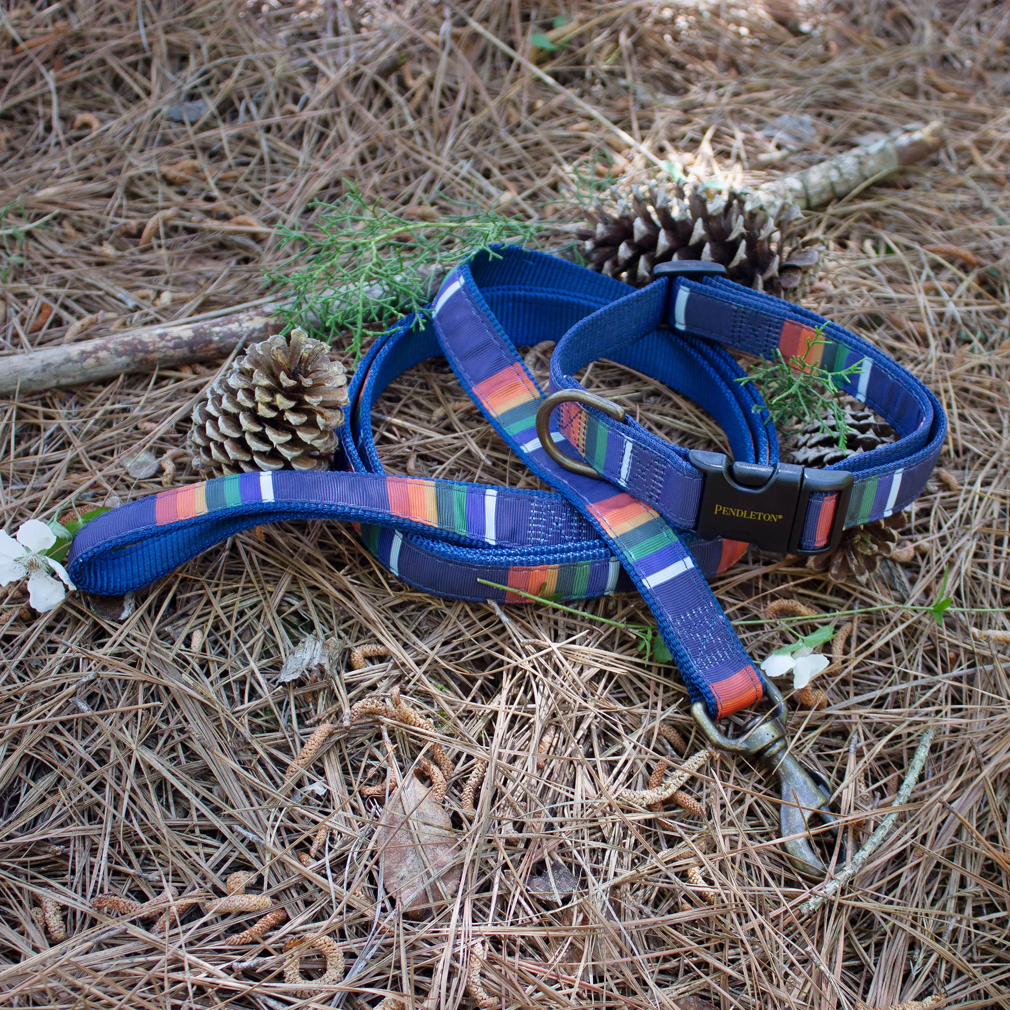 Pendleton Park Leash | Crater Lake