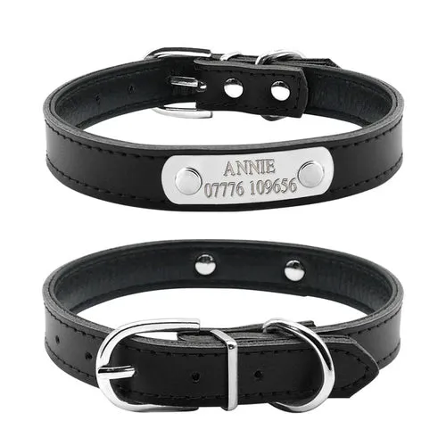 Personalized Dog Collars