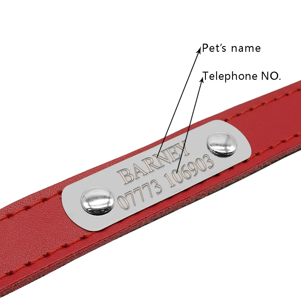 Personalized Dog Collars