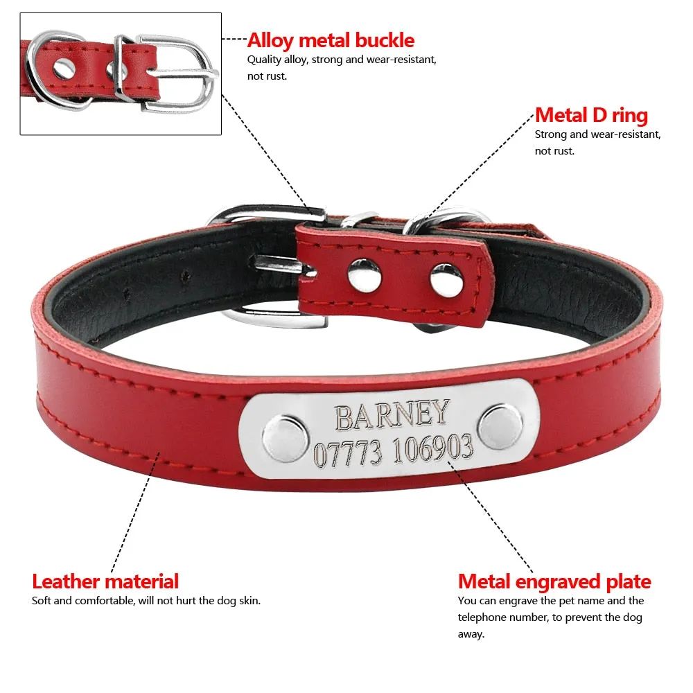 Personalized Dog Collars