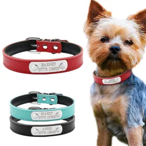 Personalized Dog Collars