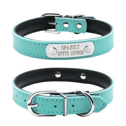 Personalized Dog Collars