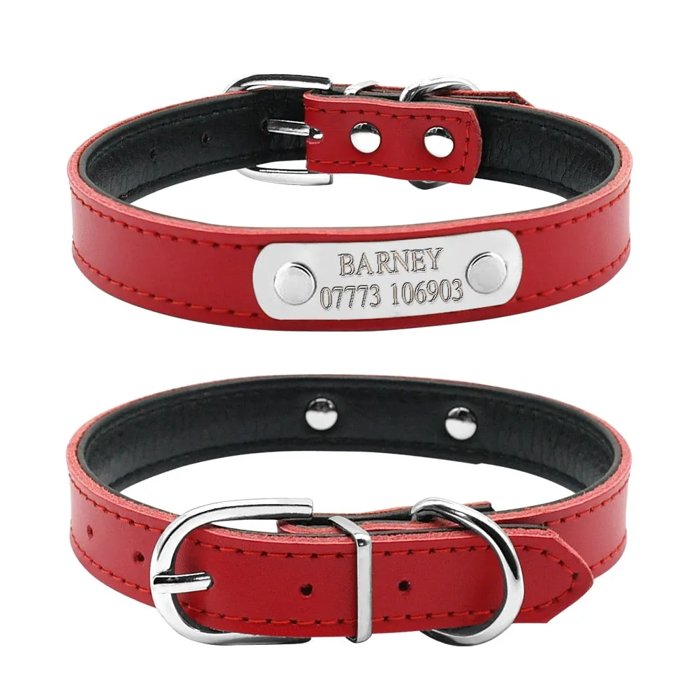 Personalized Dog Collars