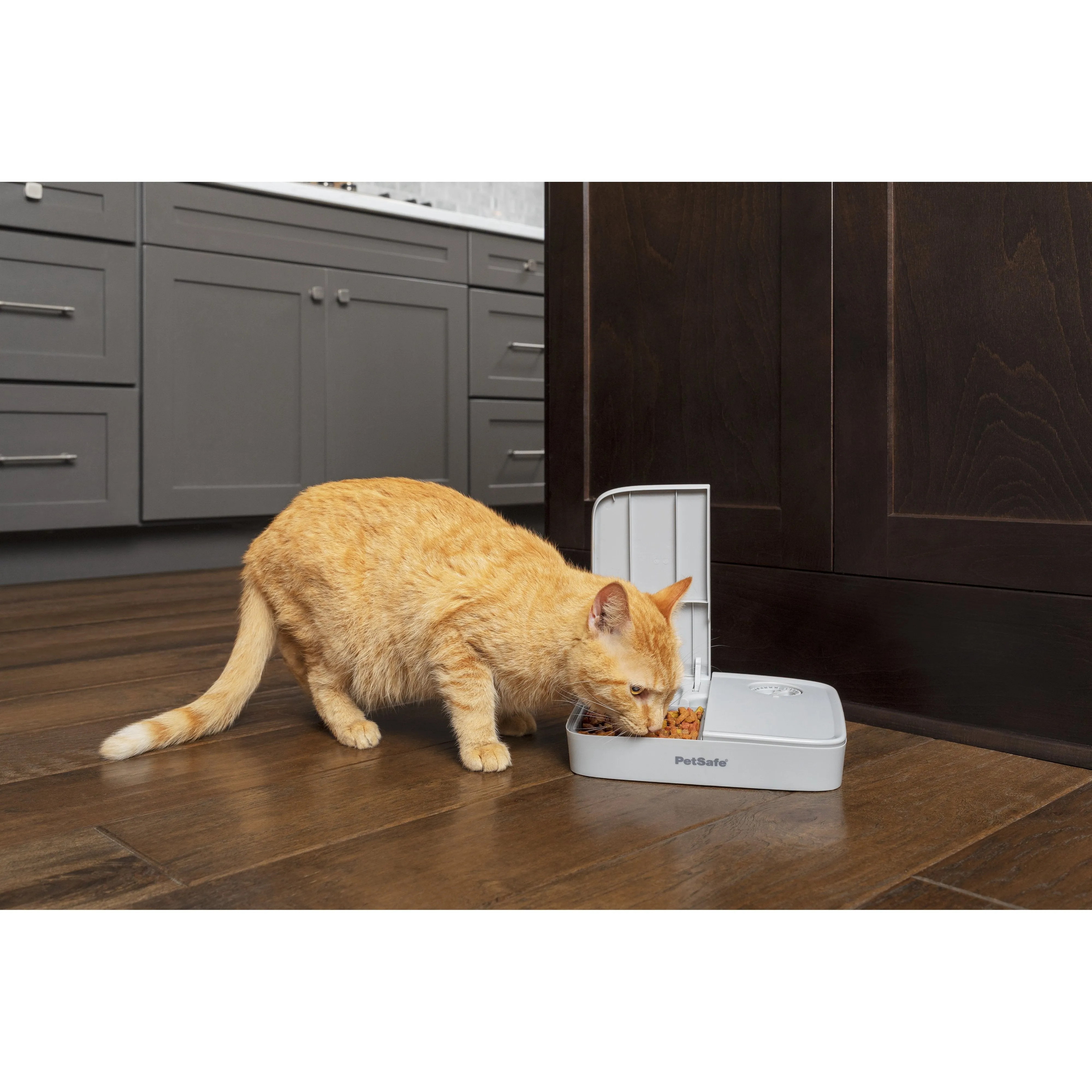 PetSafe Automatic Two Meal Pet Feeder for Dogs and Cats