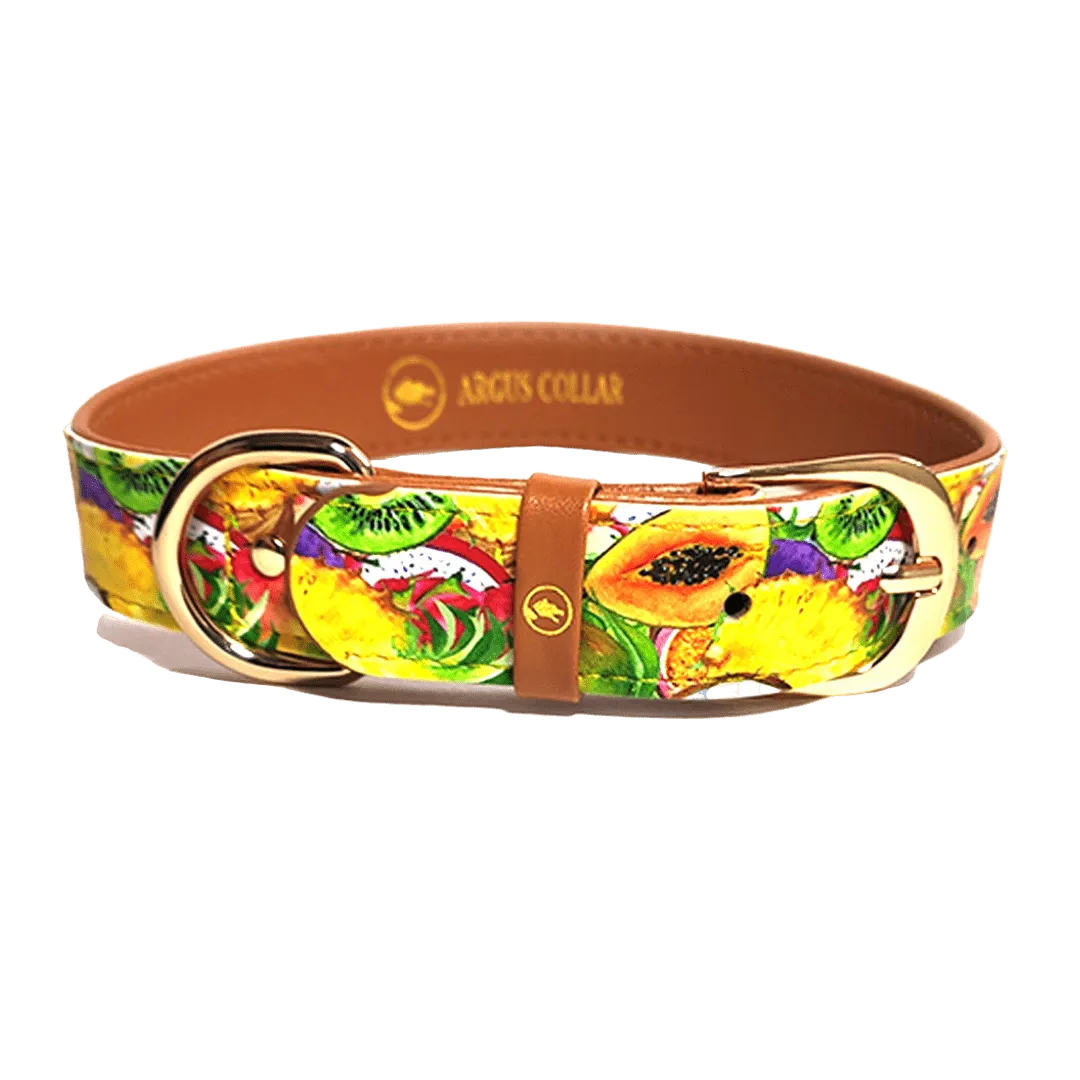 "Tutti i Frutti" Collar